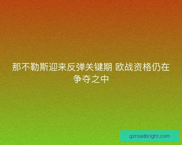 那不勒斯迎来反弹关键期 欧战资格仍在争夺之中
