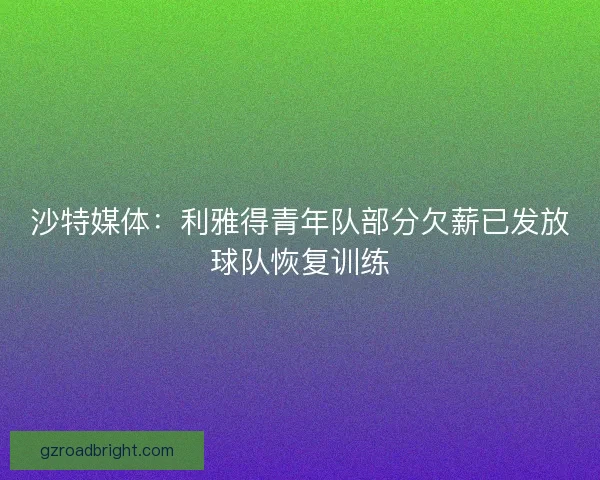 沙特媒体：利雅得青年队部分欠薪已发放球队恢复训练